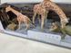 Набір тварини африки Series Model Q 9899-D2 жирафи, крокодил